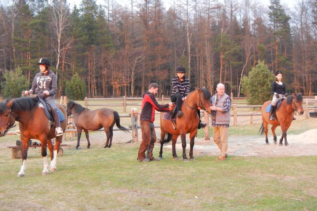 Na Wysokiej Gorce- Agroturystyka Grabowiec  ภายนอก รูปภาพ